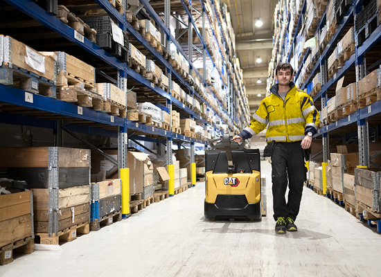 la web images npp3 550x400